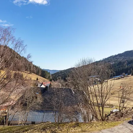 Claudia Mit Balkon Todtnau